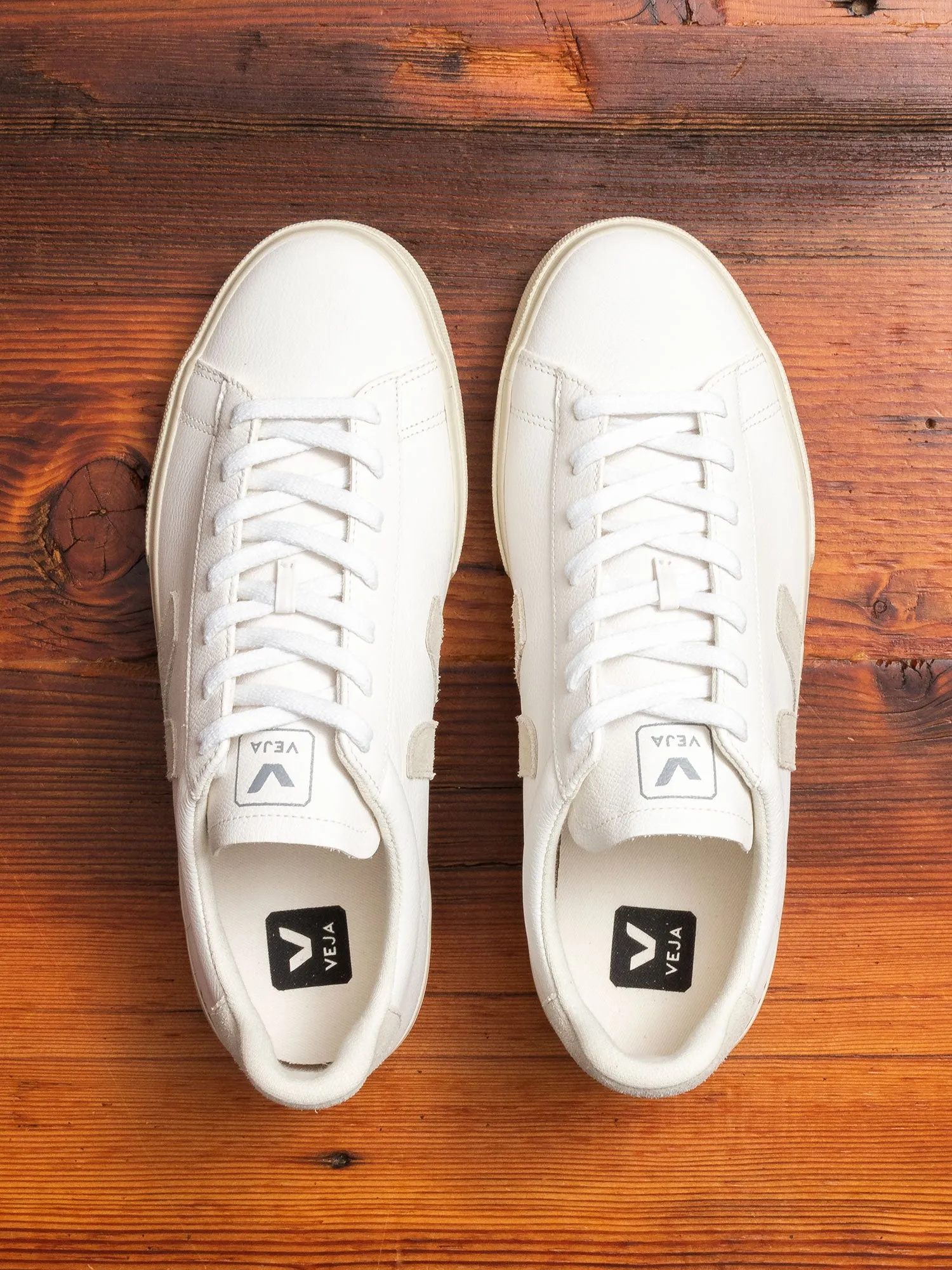 Campo Sneaker in Extra White Natural Suede